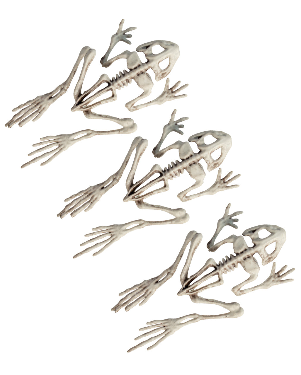 3-teiliges Frosch Skelett Set 19cm