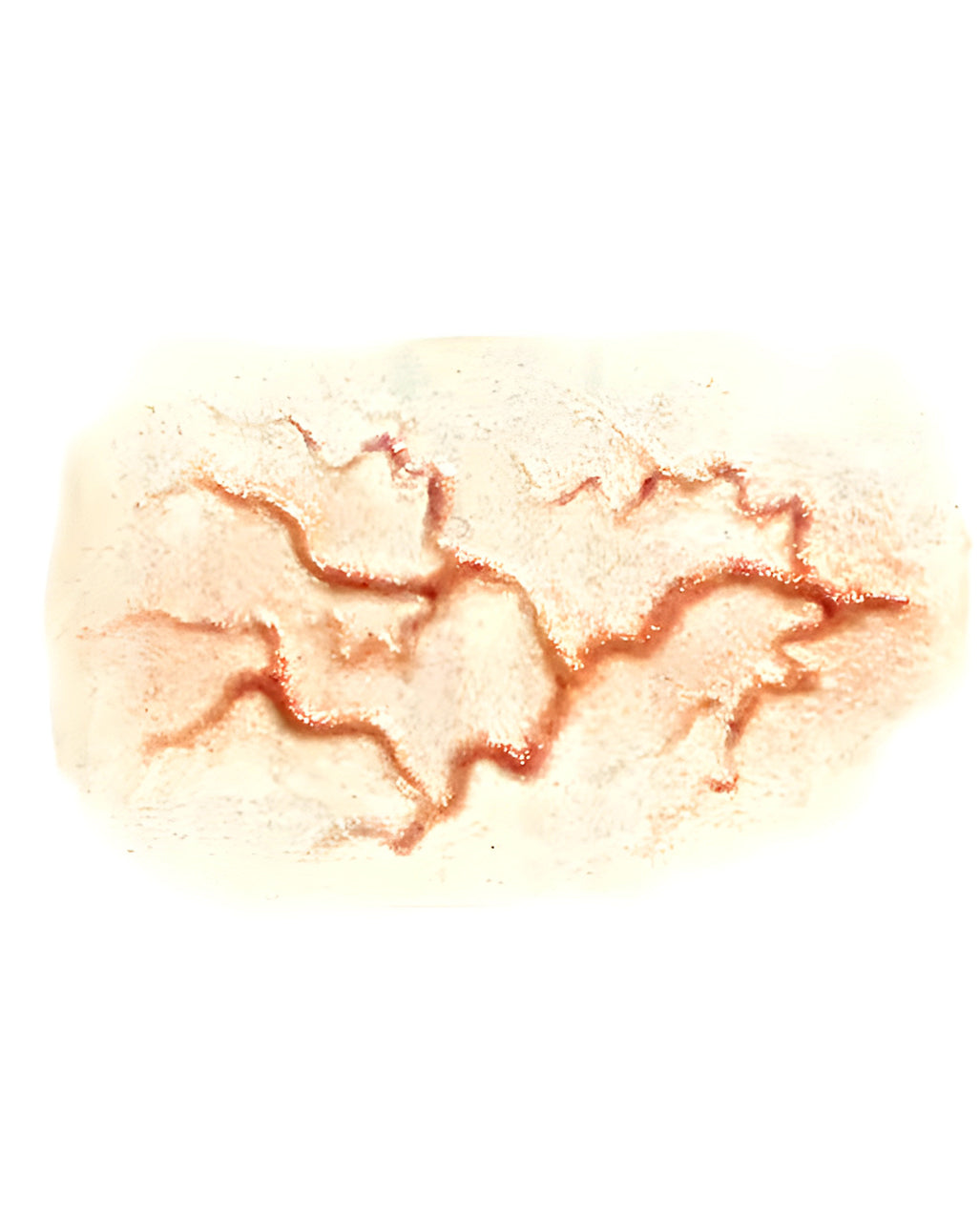 3D FX Transfer Tattoo Adern Wunde