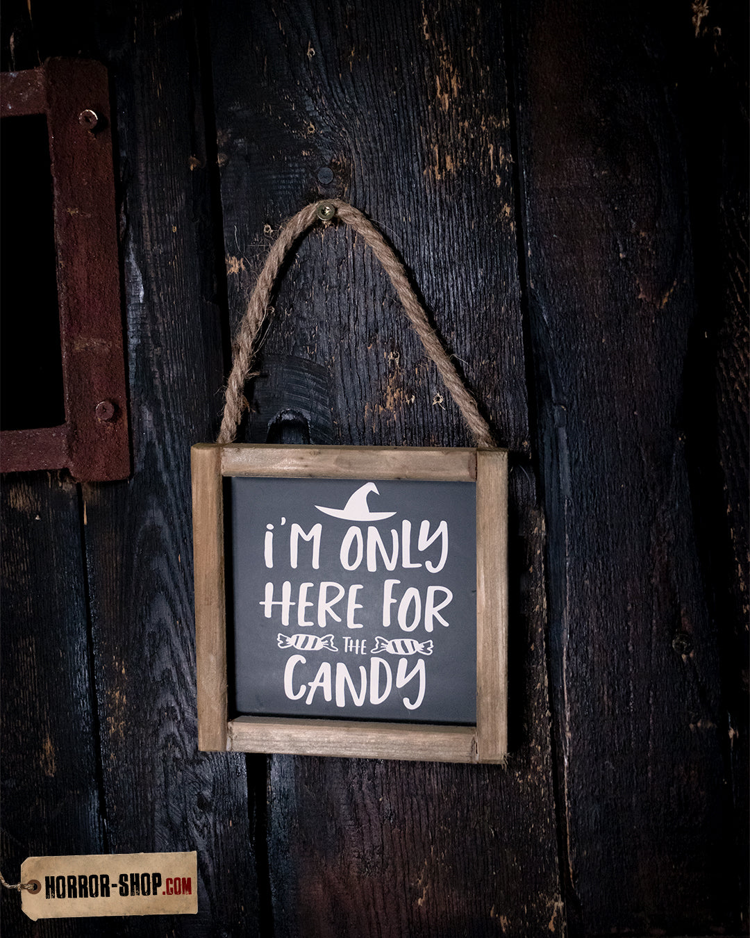 „I´m only here for the Candy“ Halloween Wandbild 15cm