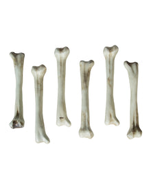 6-teiliges Knochen Set als Streudeko 18cm