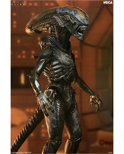 Alien Earth Wendy Xenomorph NECA Action Figure 18cm
