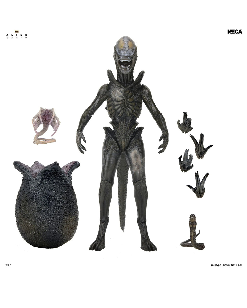 Alien Earth Wendy Xenomorph NECA Action Figure 18cm