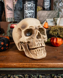 Anthropo Totenkopf