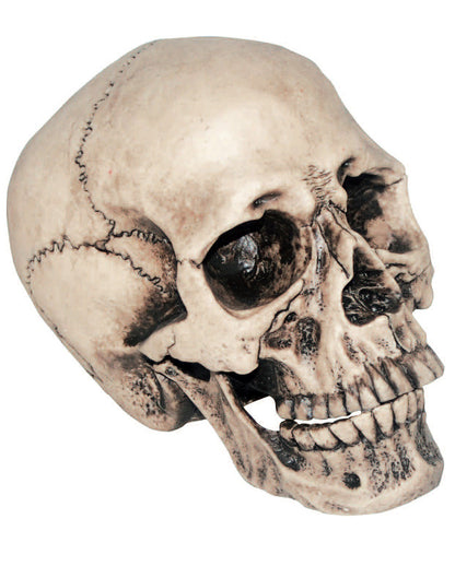 Anthropo Totenkopf