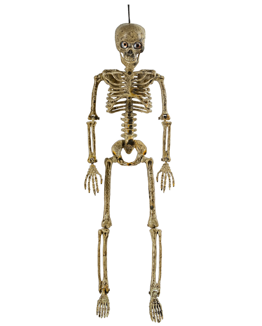 Verrottetes Positionierbares Skelett mit Augen 37cm
