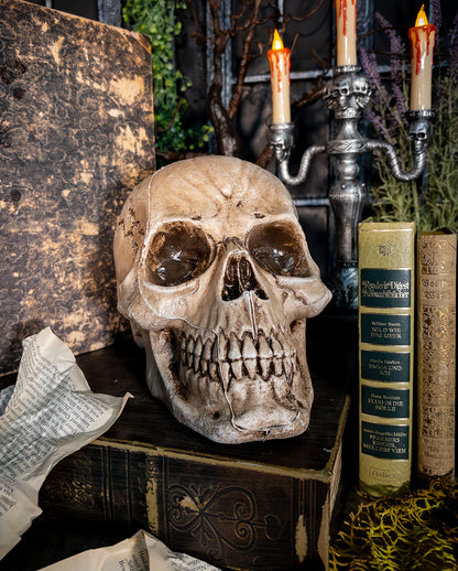 Antiker Morbid Relic Totenschädel 17cm