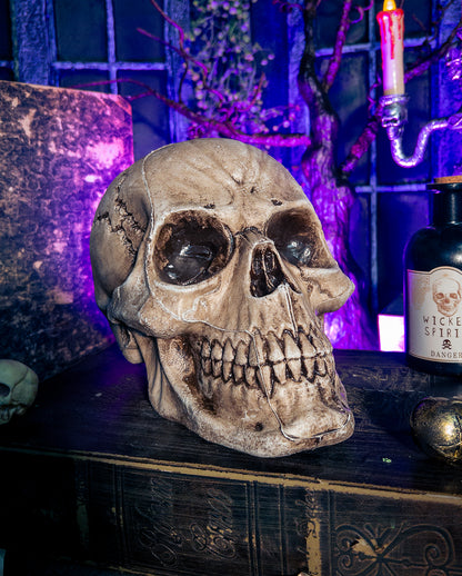 Antiker Morbid Relic Totenschädel 17cm