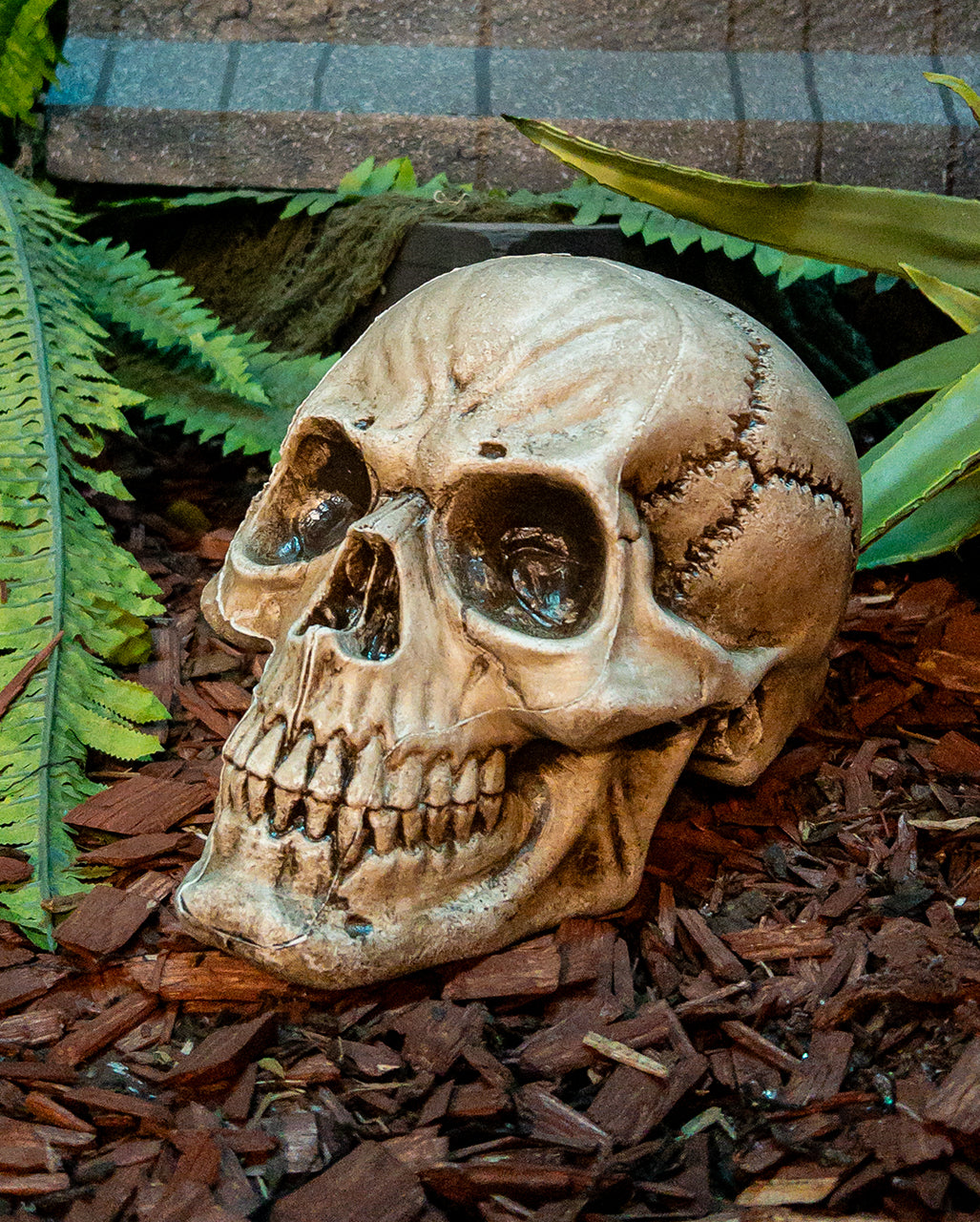 Antiker Morbid Relic Totenschädel 17cm