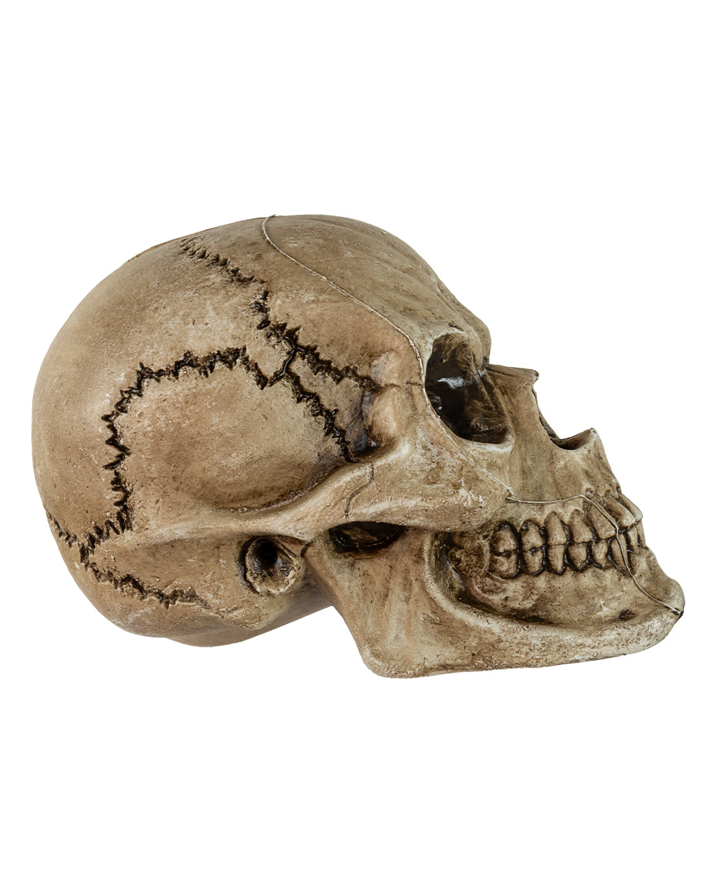 Antiker Morbid Relic Totenschädel 17cm
