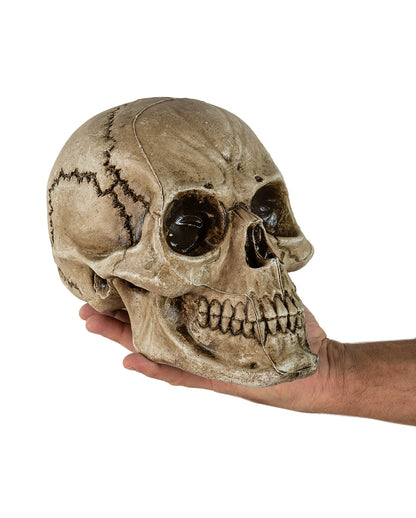 Antiker Morbid Relic Totenschädel 17cm