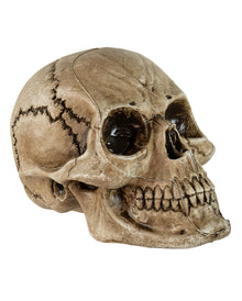 Antique Morbid Relic Skull 17cm