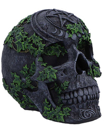 Antiker Pentagramm Totenkopf mit Efeu 19cm