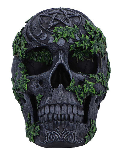 Antiker Pentagramm Totenkopf mit Efeu 19cm