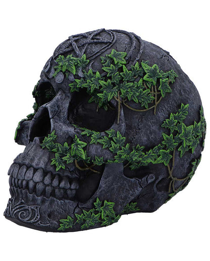 Antiker Pentagramm Totenkopf mit Efeu 19cm