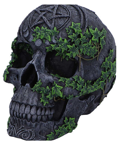 Antiker Pentagramm Totenkopf mit Efeu 19cm