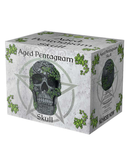 Antiker Pentagramm Totenkopf mit Efeu 19cm