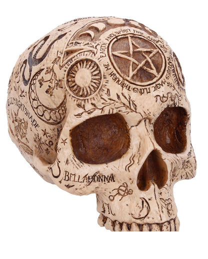 Apothecary Totenkopf 14cm