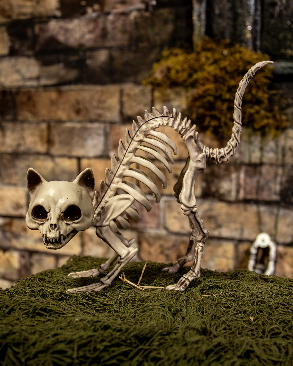 Skelett Katze mit Katzenbuckel als Deko 19cm