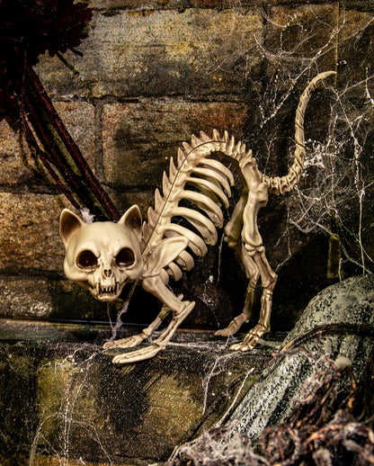 Skelett Katze mit Katzenbuckel als Deko 19cm