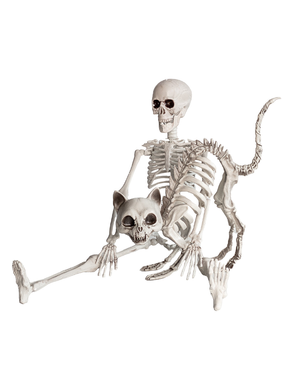Skelett Katze mit Katzenbuckel als Deko 19cm