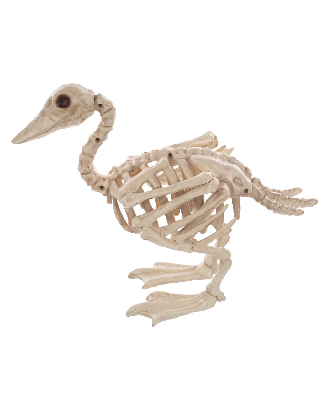 Skelett Baby Ente 19cm