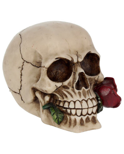 Beige Skull With Red Rose 15cm