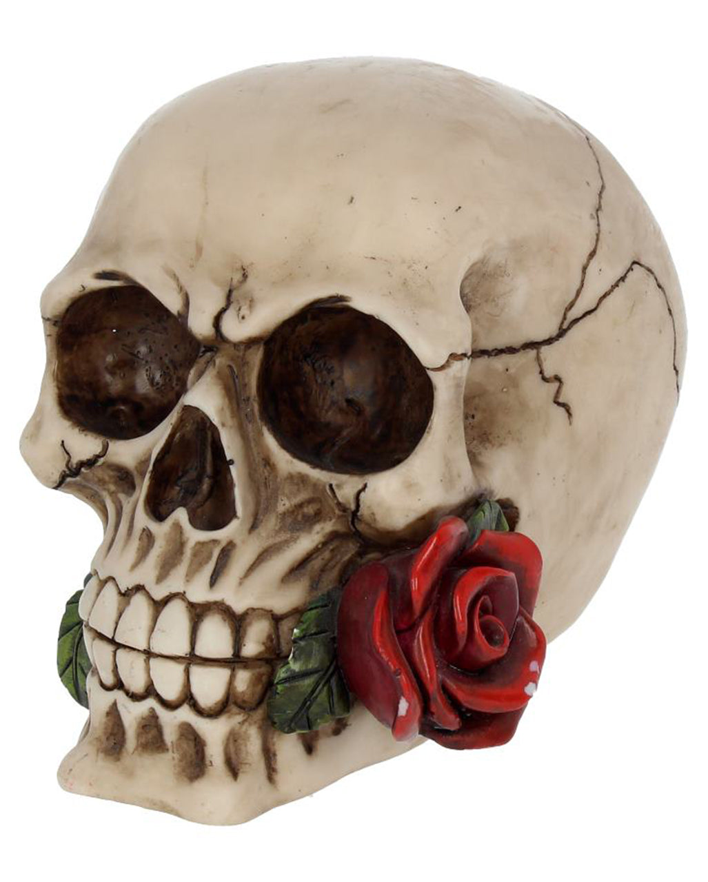Beige Skull With Red Rose 15cm