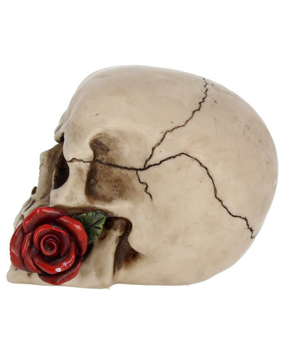 Beige Skull With Red Rose 15cm