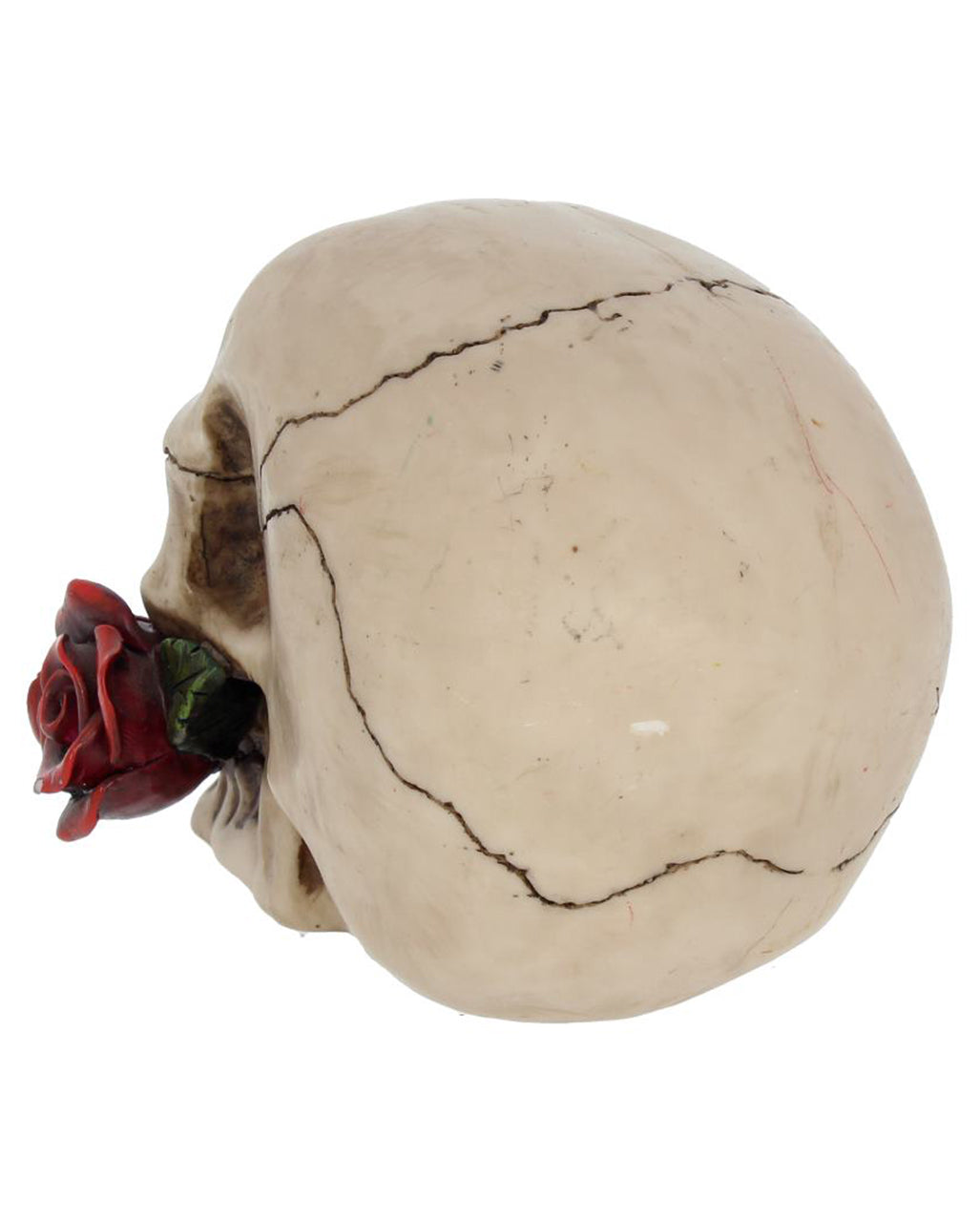Beige Skull With Red Rose 15cm
