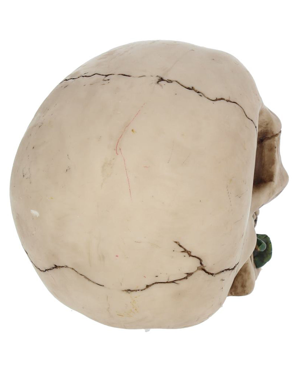 Beige Skull With Red Rose 15cm