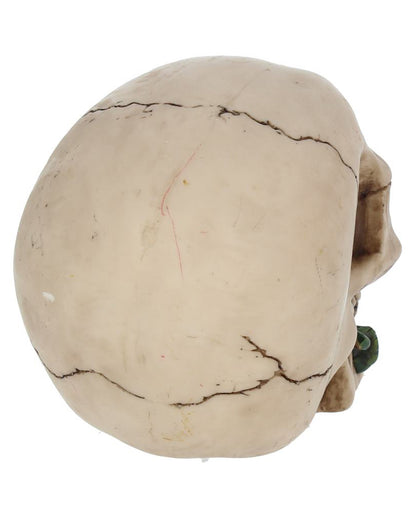 Beige Skull With Red Rose 15cm