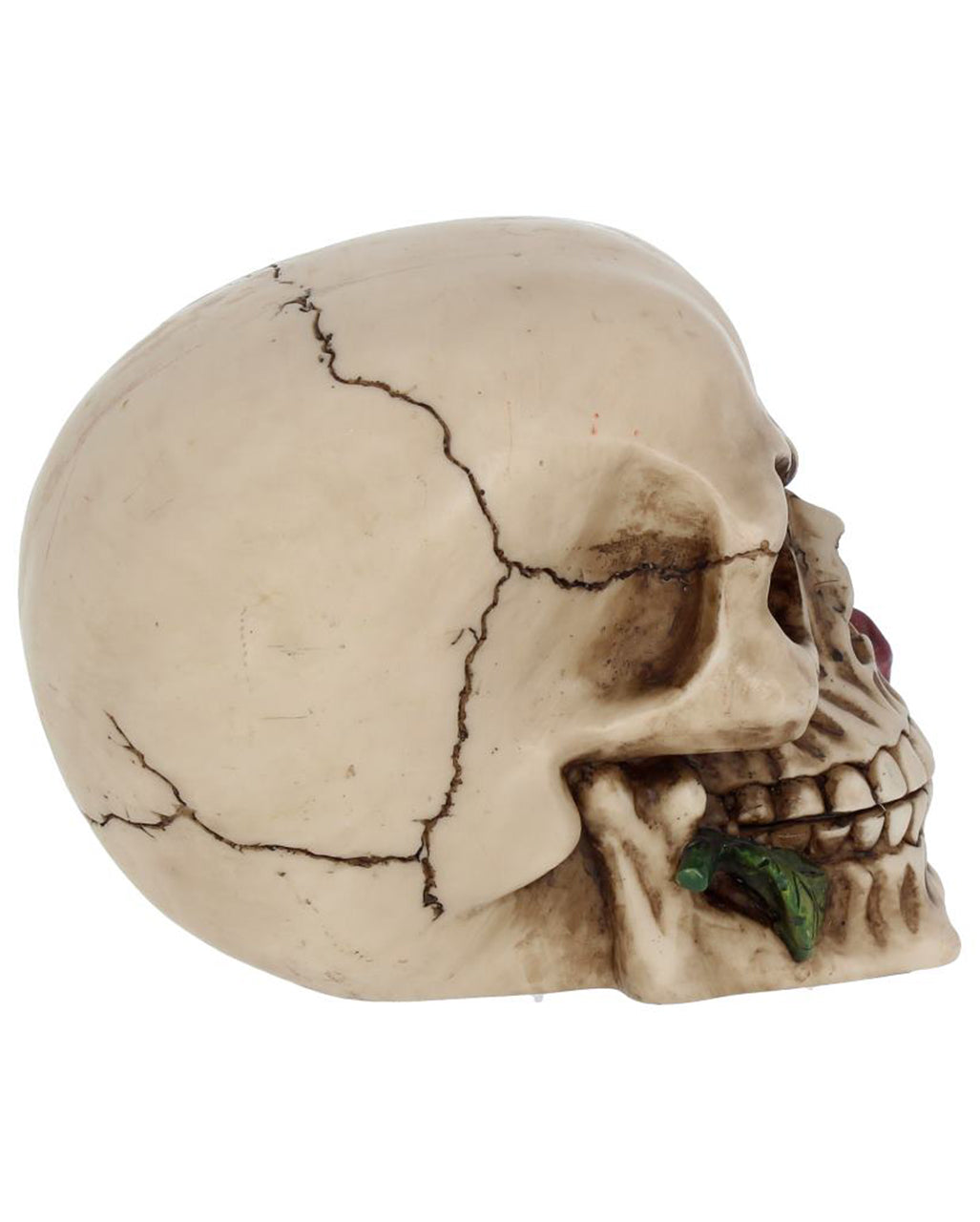 Beige Skull With Red Rose 15cm