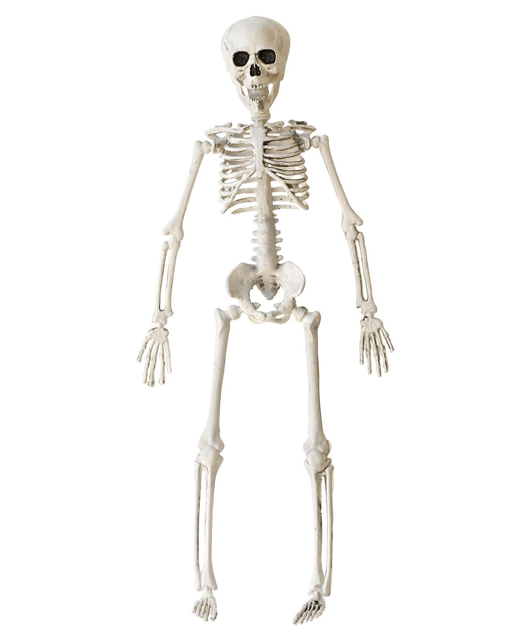 Halloween Knochenskelett 40 cm