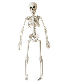 Halloween Knochenskelett 40 cm