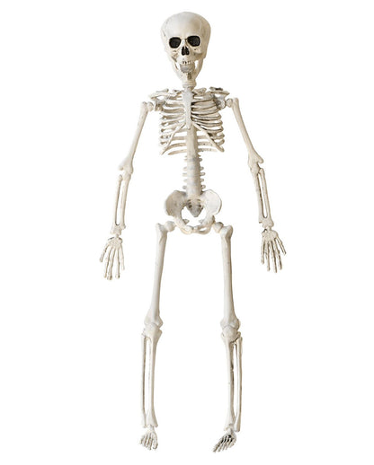 Halloween Knochenskelett 40 cm