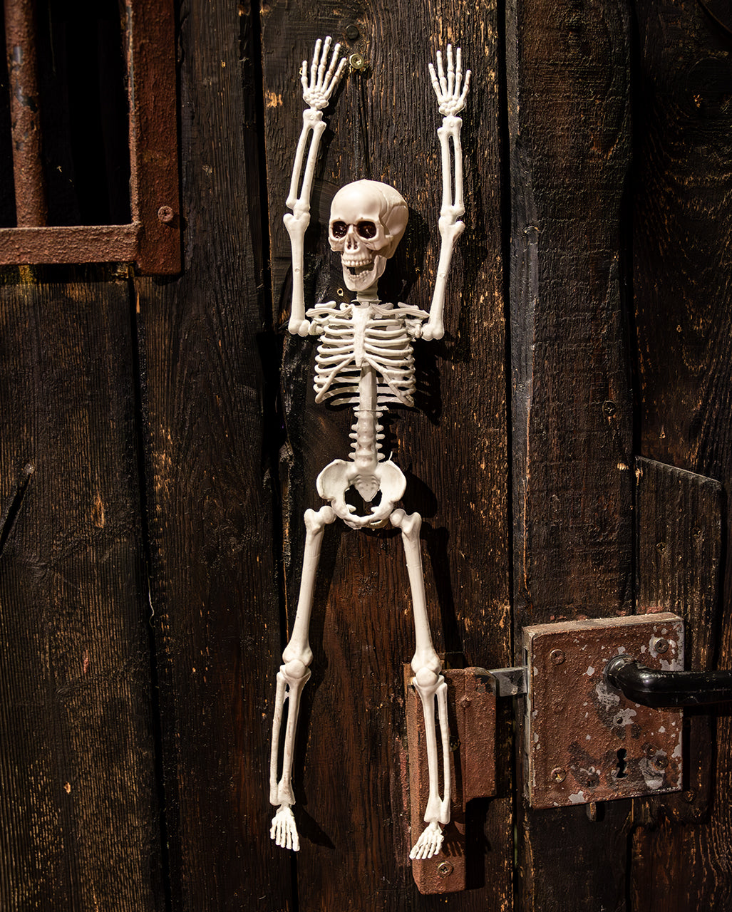 Halloween Knochenskelett 40 cm
