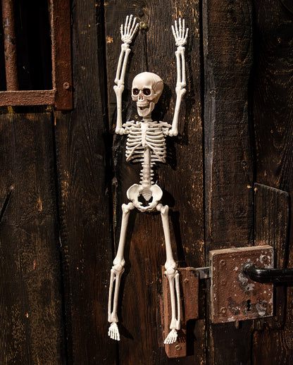 Halloween Knochenskelett 40 cm
