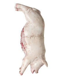 Blutiger, Aufgeschlitzter Schweinekörper 105cm