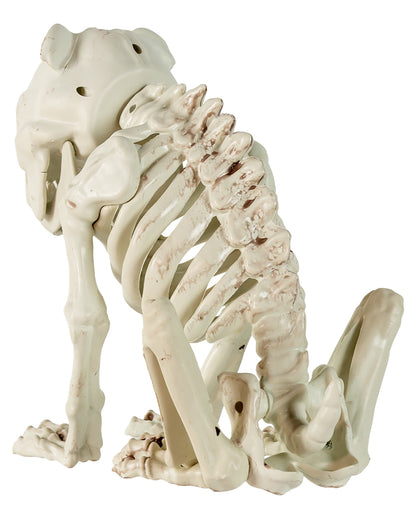 Bulldogge Hundeskelett als Halloween Deko 24cm