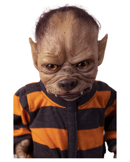 Cooper "WerePups" Werwolfbaby