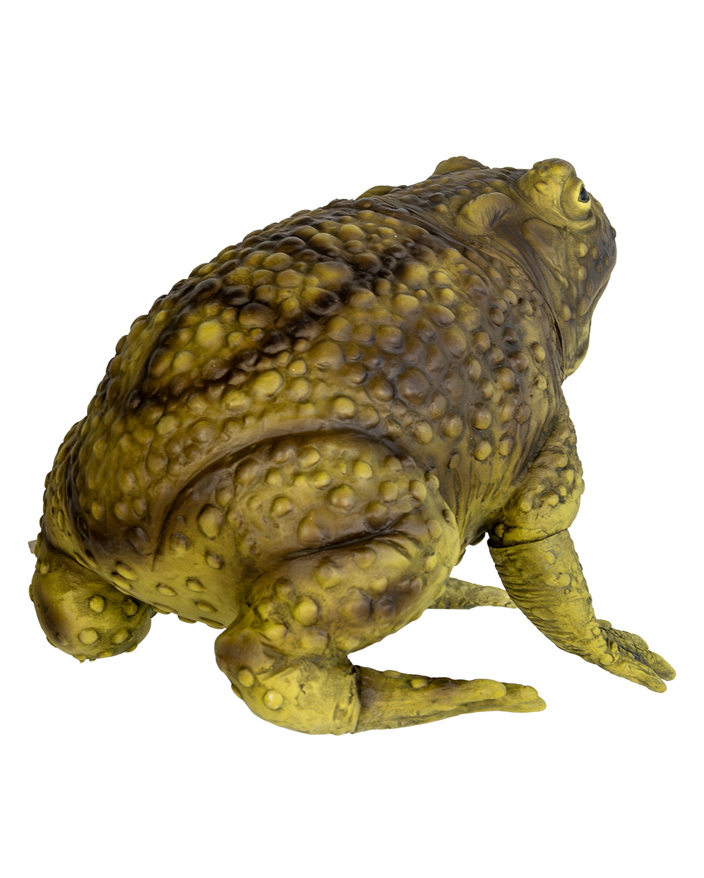 Demonic Giant Slime Toad Morbella 24cm