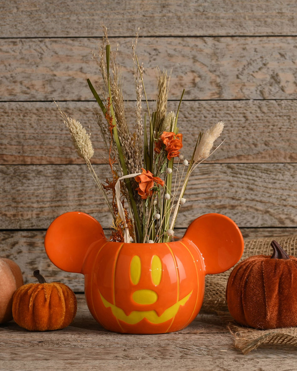 Disney Mickey Halloween Kürbis Pflanzentopf