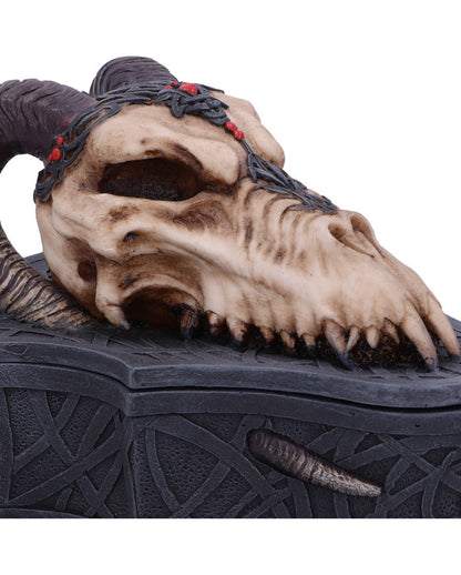 Drachenschädel Totenkopf Box 17,7cm