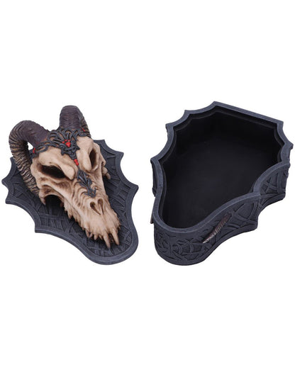 Drachenschädel Totenkopf Box 17,7cm