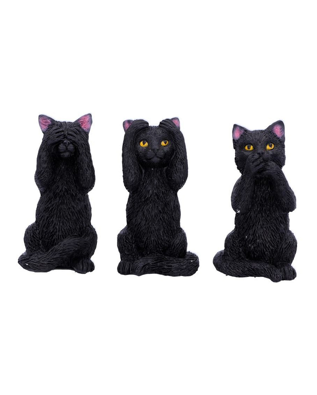 Drei weise schwarze Katzen