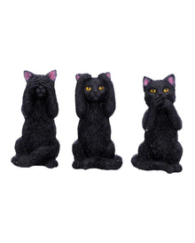 Drei weise schwarze Katzen