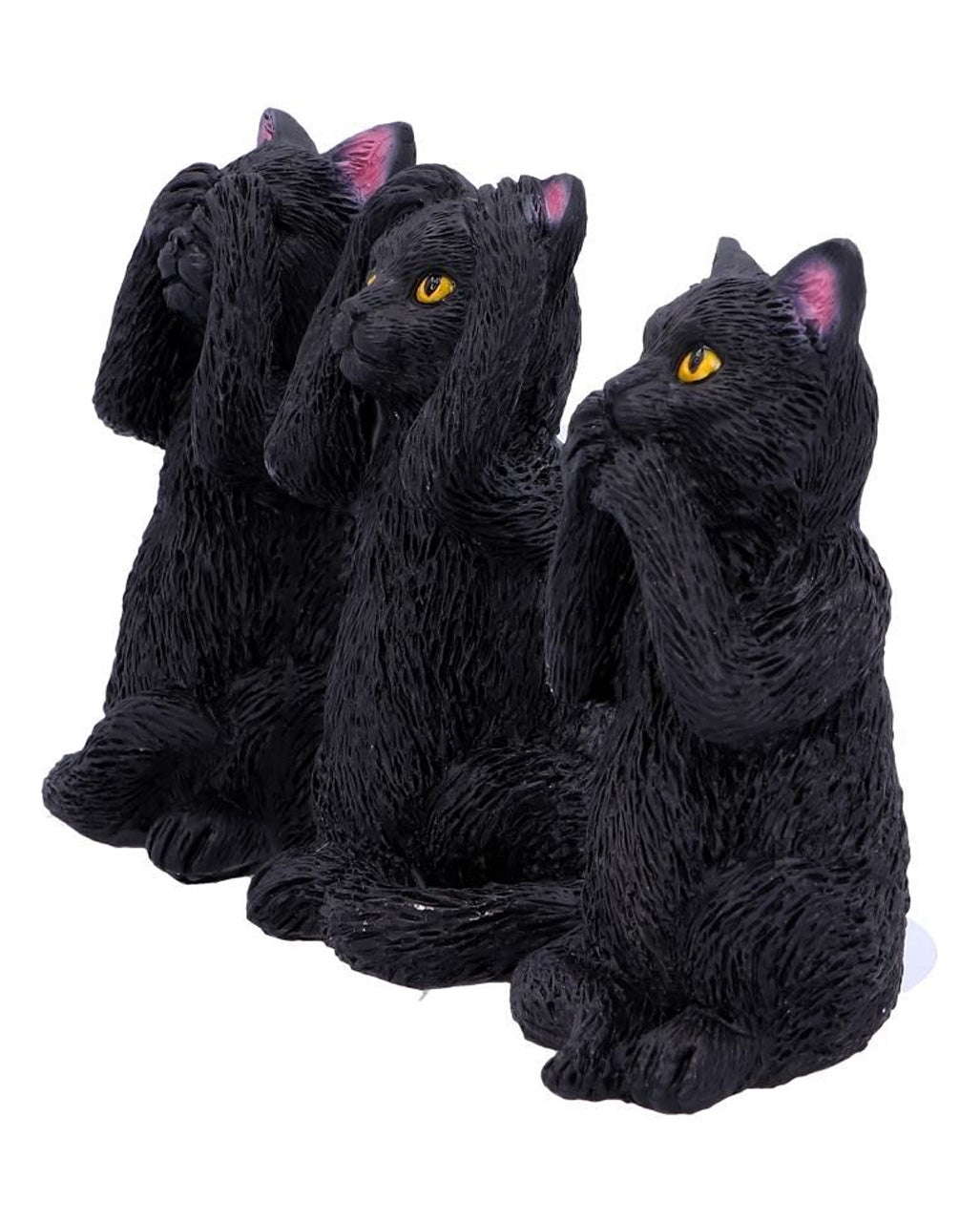 Drei weise schwarze Katzen