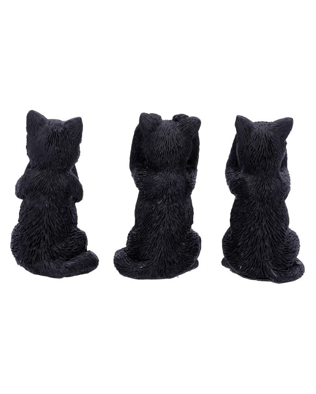 Drei weise schwarze Katzen