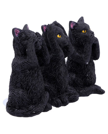 Drei weise schwarze Katzen