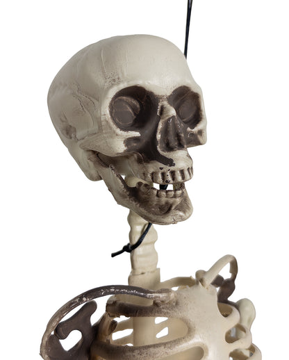 Economy Decorative Skeleton 90cm